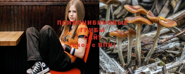 2c-b Баксан