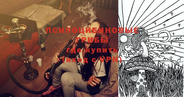 ПСИЛОЦИБИНОВЫЕ ГРИБЫ Балабаново