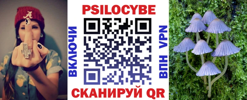 Псилоцибиновые грибы Psilocybe  Красный Холм 